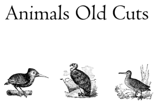 Animals Old Cuts Font for Web Design