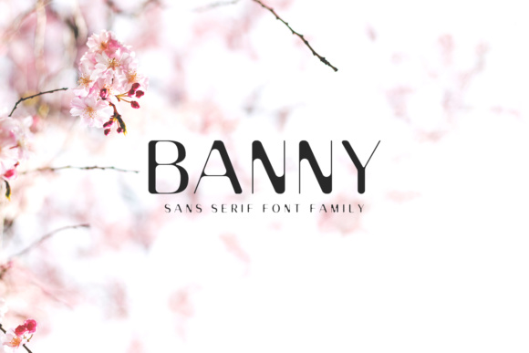 Banny Sans Serif: Vintage Meets Modern