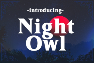 Night Owl Font for Business