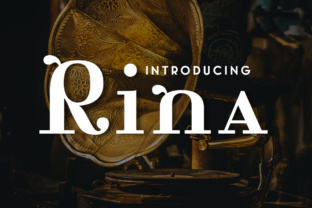 Rina: A Timeless Typeface for Business Branding