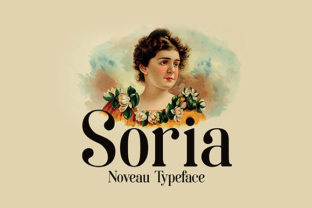 Soria: A Modern Serif for Web Design