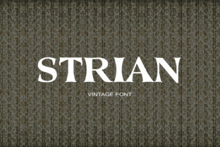 Strian: A Vintage Serif Font for Web Design