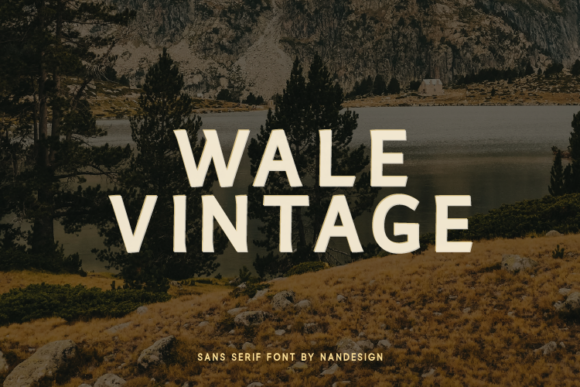 Wale Vintage: A Timeless Sans Serif
